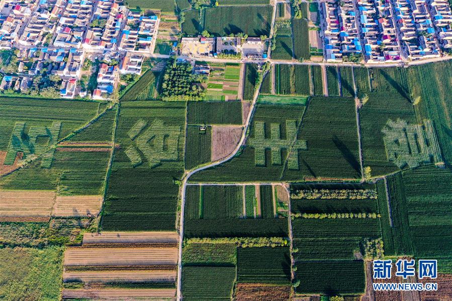(新華全媒頭條·圖文互動)(3)天道酬勤的大地贊歌——寫在第三個中國農民豐收節之際