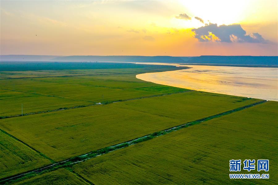 (新華全媒頭條·圖文互動)(4)天道酬勤的大地贊歌——寫在第三個中國農民豐收節之際