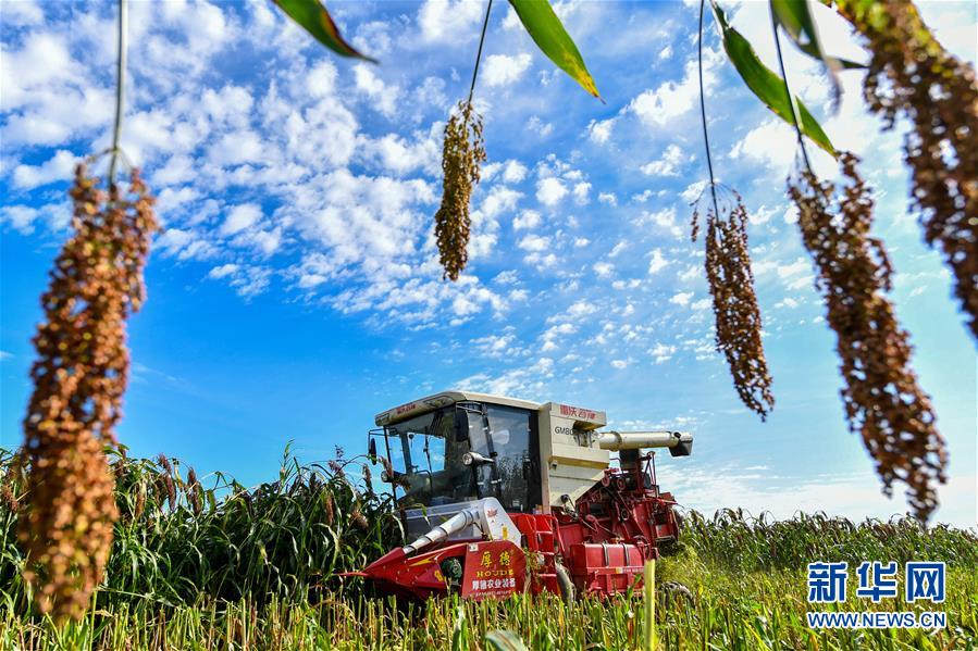 (新華全媒頭條·圖文互動)(5)天道酬勤的大地贊歌——寫在第三個中國農民豐收節之際
