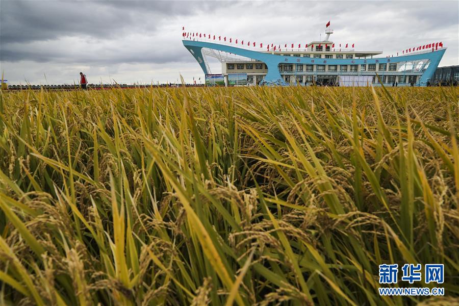 (新華全媒頭條·圖文互動)(1)天道酬勤的大地贊歌——寫在第三個中國農民豐收節之際