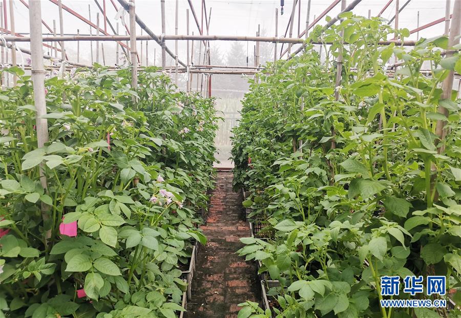 (新華全媒頭條·圖文互動)(8)天道酬勤的大地贊歌——寫在第三個中國農民豐收節之際