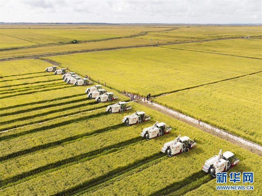 （新華全媒頭條·圖文互動）（15）奮斗結碩果，再寫新篇章——寫在共和國71周年華誕之際