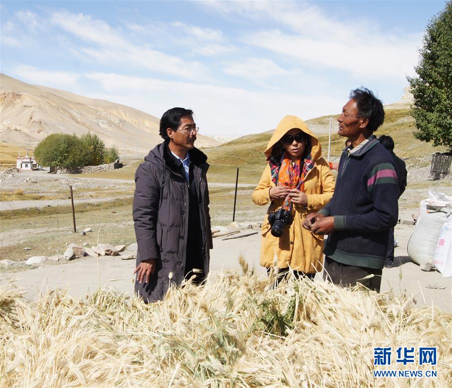 (新華全媒頭條·圖文互動)(6)愿做高原一粒種 化作金穗撒人間——追記我國青稞研究專家尼瑪扎西