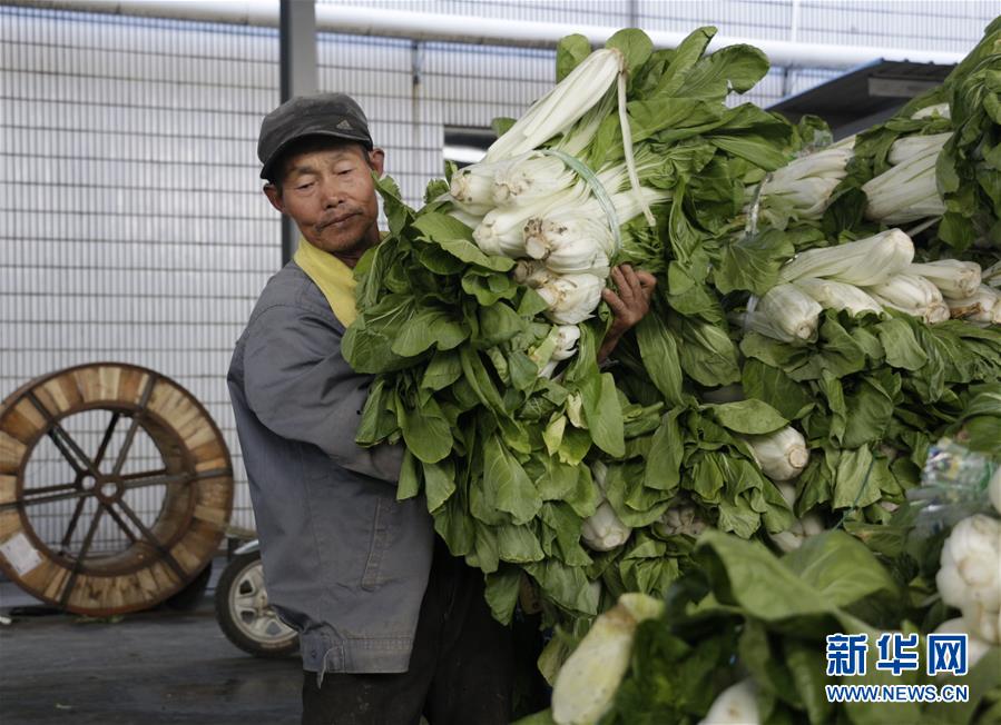 (全面建成小康社會“百城千縣萬村調研行”·圖文互動)(3)安徽當涂:強產業抓主體促增收