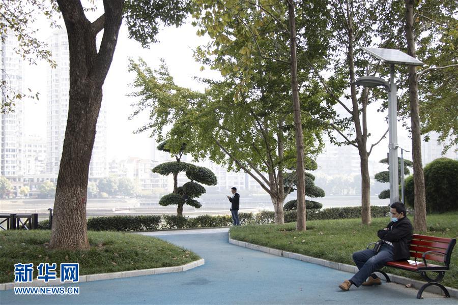 (全面建成小康社會“百城千縣萬村調研行”·圖文互動)(1)武漢:從“見縫插樓”到“見縫播綠”