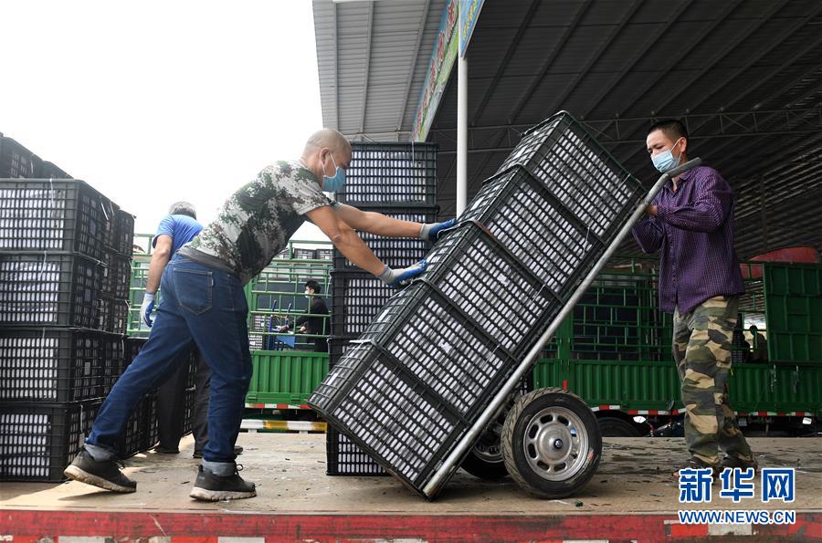 (新華全媒頭條·圖文互動)(10)暢通雙循環 共享大市場——從東博會看中國新發展格局