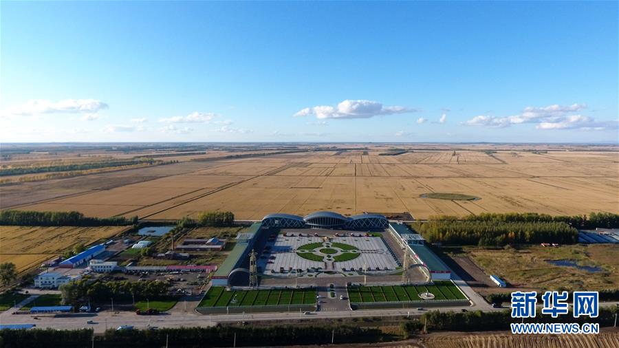 (新華全媒頭條·圖文互動)(15)潮起東方萬象新——以習近平同志為核心的黨中央團結帶領全黨全軍全國各族人民貫徹落實黨的十九大精神紀實