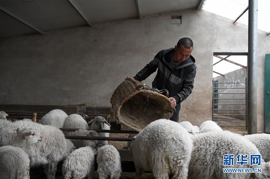 (新華全媒頭條·圖文互動)(1)春天里的5個“戰貧”瞬間——習近平總書記關于脫貧攻堅決策部署指引攻克最后的深貧堡壘