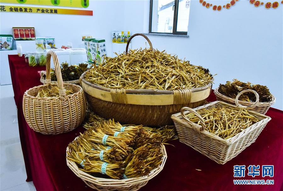 （新華全媒頭條·圖文互動）（3）初夏，循著總書記的腳步探訪產業扶貧新事