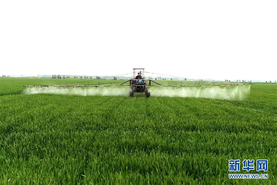 （在習(xí)近平新時(shí)代中國(guó)特色社會(huì)主義思想指引下——新時(shí)代新作為新篇章·習(xí)近平總書記關(guān)切事·圖文互動(dòng)）（10）新農(nóng)事、新希望——夏收前田間新動(dòng)態(tài)掃描
