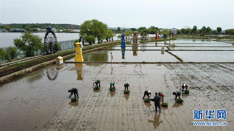 (在習近平新時代中國特色社會主義思想指引下——新時代新作為新篇章·習近平總書記關切事·圖文互動)(6)讓農民挑上“金扁擔”——農業現代化的生動實踐掃描