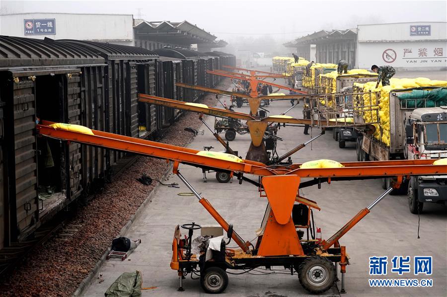 (在習(xí)近平新時(shí)代中國(guó)特色社會(huì)主義思想指引下——新時(shí)代新作為新篇章·習(xí)近平總書(shū)記關(guān)切事·圖文互動(dòng))(5)食為政首——穩(wěn)住農(nóng)業(yè)基本盤(pán)增添發(fā)展底氣