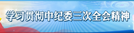 學習貫徹中紀委三次全會精神