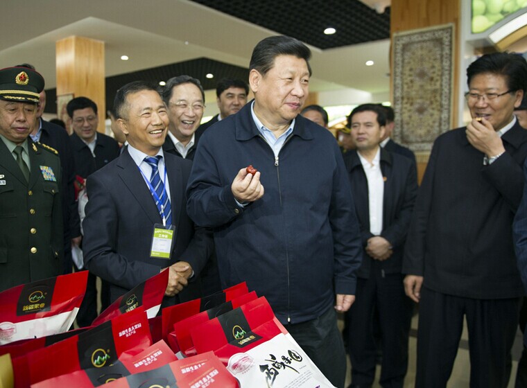 習近平:不辭長作新疆人