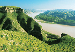 張建龍：“三北工程”實現生態、經濟、社會效益“多贏”