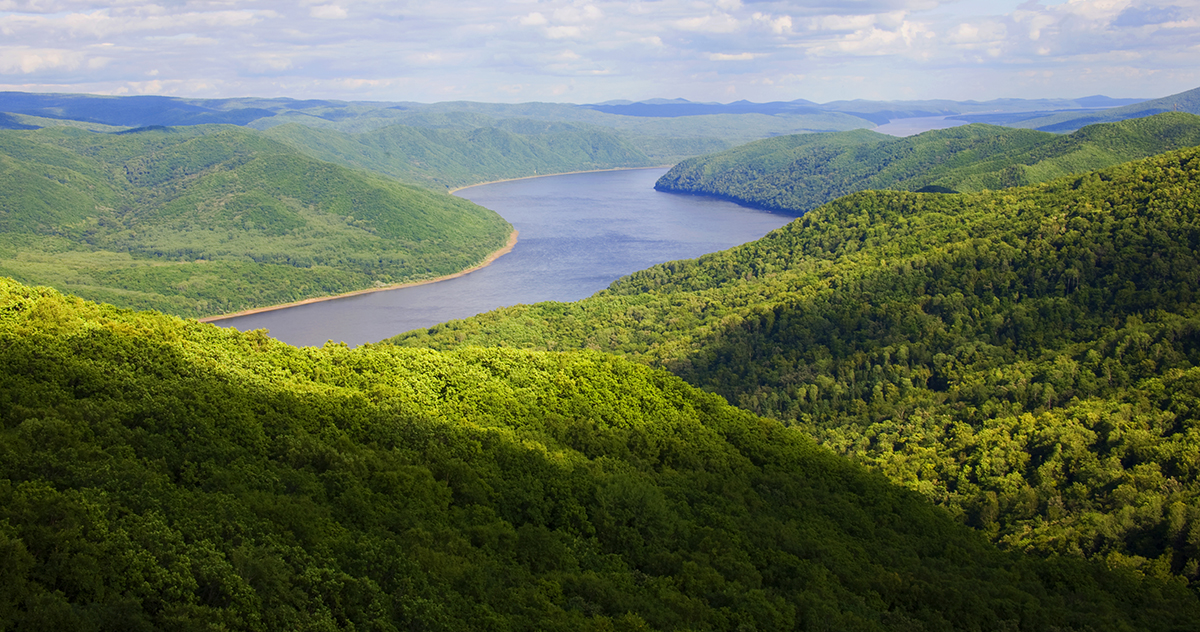 張建龍：“三北工程”實現生態、經濟、社會效益“多贏”