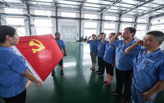 浙江臨安:基層黨建助力鄉村建設