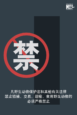 向非法野生動物交易、濫食野生動物陋習(xí)亮劍