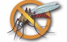 夏季，常見蚊蟲如何應對