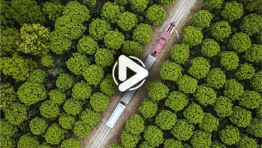 第十一集：你好！地球衛士