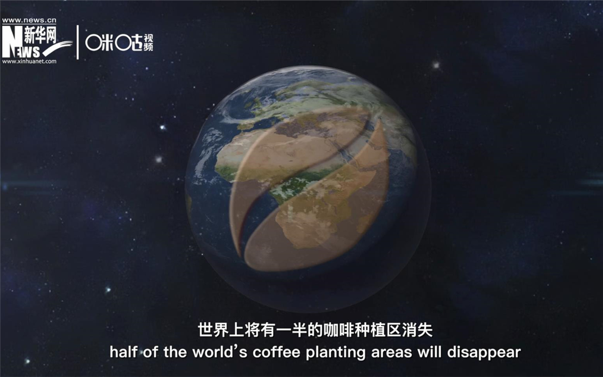 科學家預測到三十年后，世界上將有一半的咖啡種植區消失
