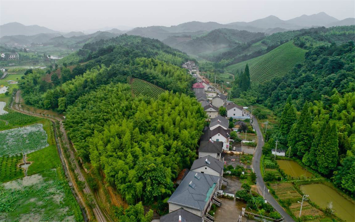 從2003年起，浙江省開展了“千村示范、萬村整治”工程