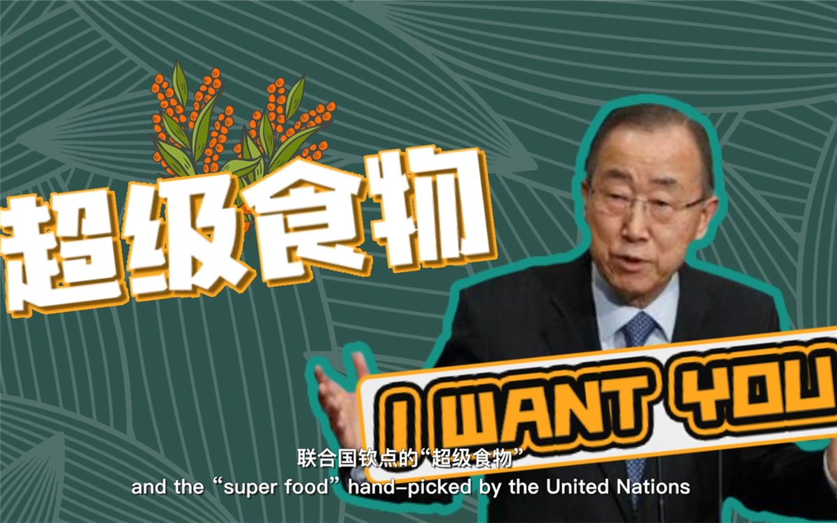 聯合國將藜麥視為抗擊饑餓的“超級食物”，大力推廣