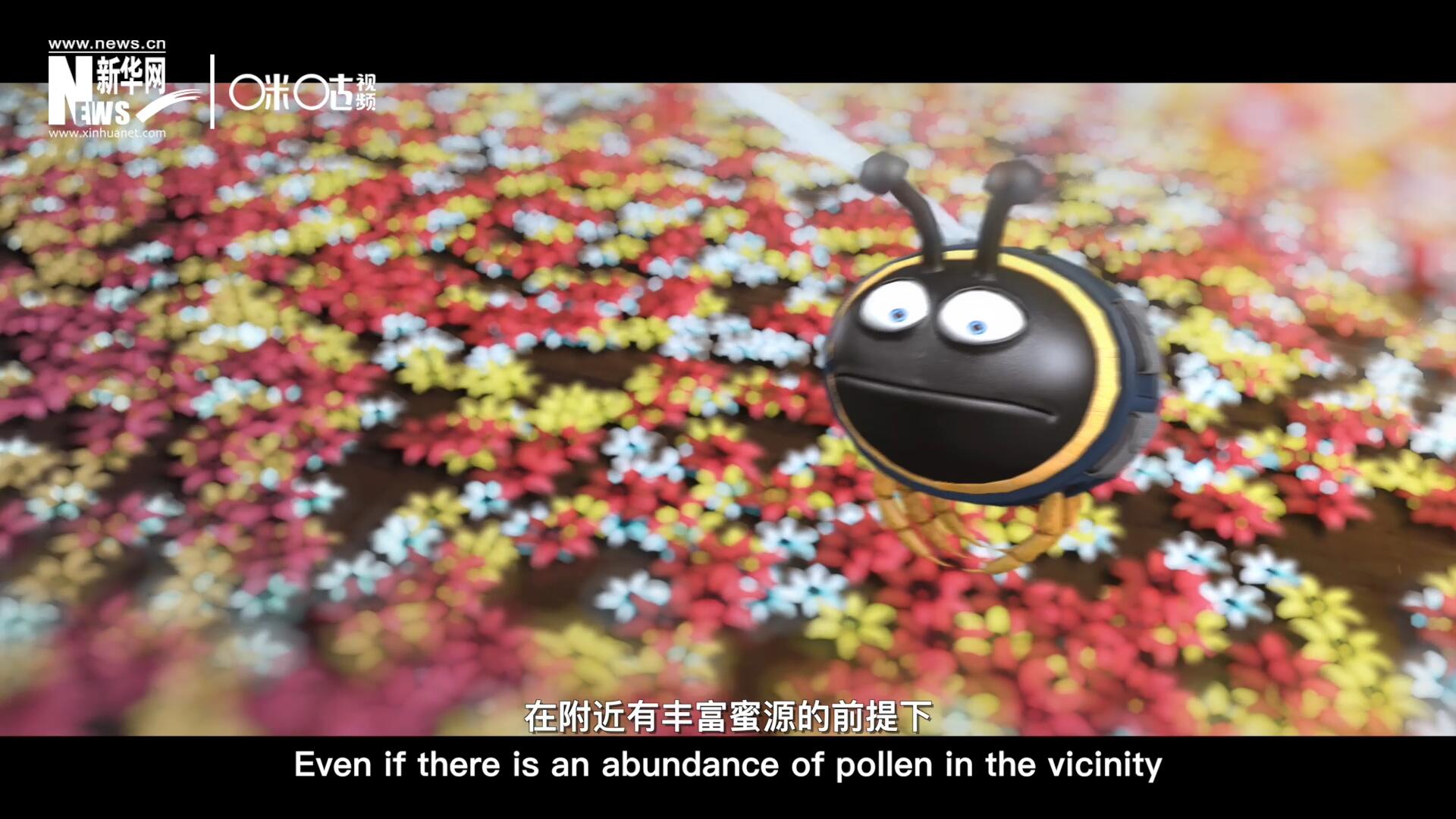 你知道一只蜜蜂采一公斤蜜有多辛苦嗎？據(jù)統(tǒng)計(jì)，在附近有豐富蜜源的前提下，一只蜜蜂大約需要飛行四萬千米