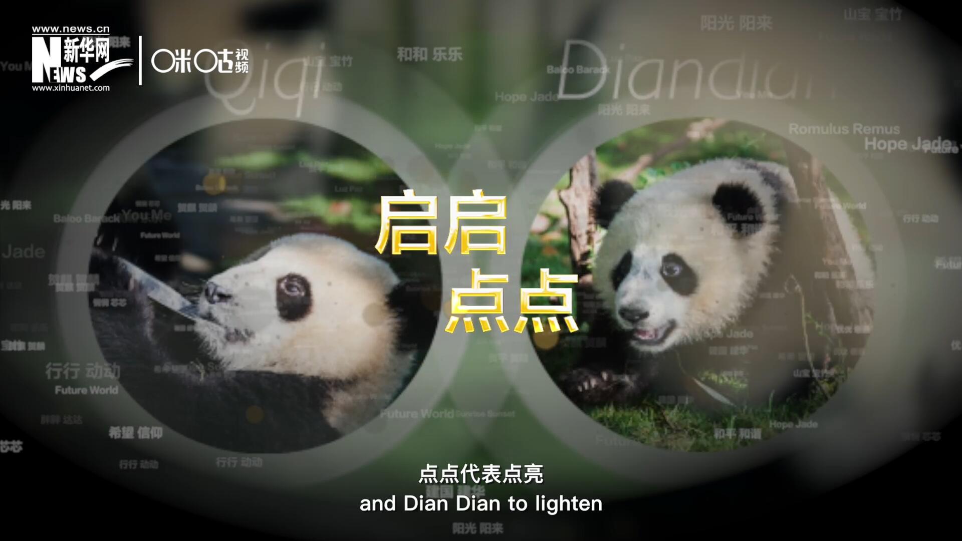 啟啟代表“啟發(fā)”，點點代表“點亮”，象征著2030年可持續(xù)發(fā)展議程 的“起點”，也象征著全球可持續(xù)發(fā)展路徑的新起點。