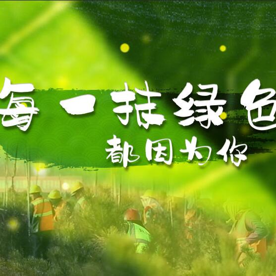 千年秀林，每一抹綠色都因?yàn)槟? /></a>       
<div   id=