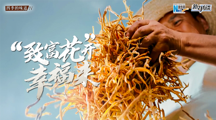 “致富花”開幸福來(lái)