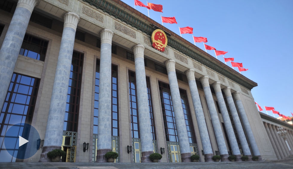 全國政協十三屆一次會議首場“委員通道”