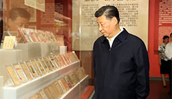 這些年,這些展,總書記這些話直抵人心