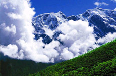 去林芝邂逅“隱秘蓮花”