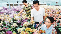 臺商眼中的改革開放：風景這邊獨好 要去，要去，要去！