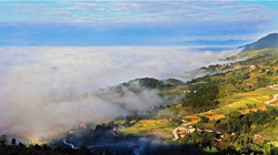 臺胞臺商熱議陜西惠臺“60條”：期盼落實、共享機遇