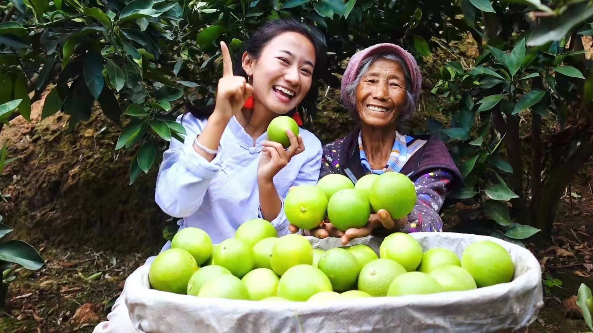 追夢中國人|“云南小花”馬玲敏：村播助農