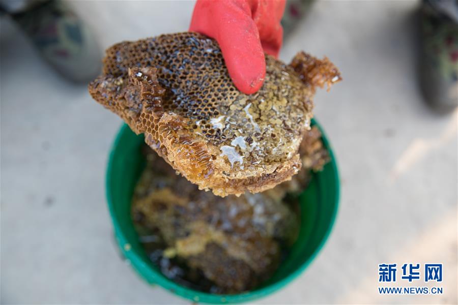 （國際·聚焦進口博覽會·圖文互動）（7）通訊：贊比亞蜂蜜企業欲借進博會開拓中國市場