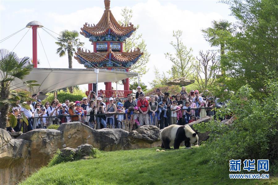 (習(xí)近平出訪配合稿·圖文互動(dòng))(2)綜述:互利共贏 敢為人先——中法關(guān)系行穩(wěn)致遠(yuǎn)