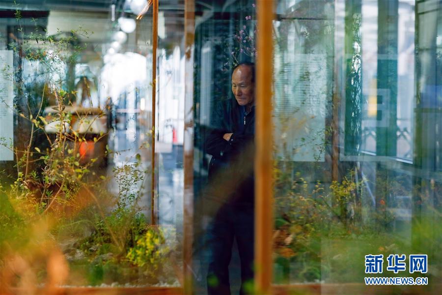 （國際·圖文互動）（4）通訊：敲響半島和平鐘聲——走訪韓朝非軍事區首爾藝術展