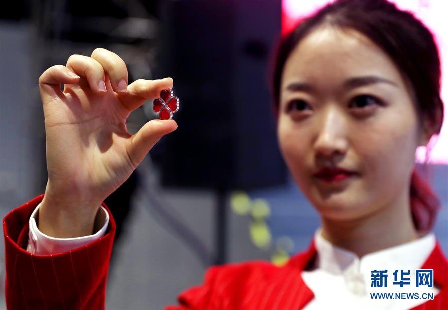 (社會)(5)5000余名第二屆進(jìn)博會志愿者宣誓上崗