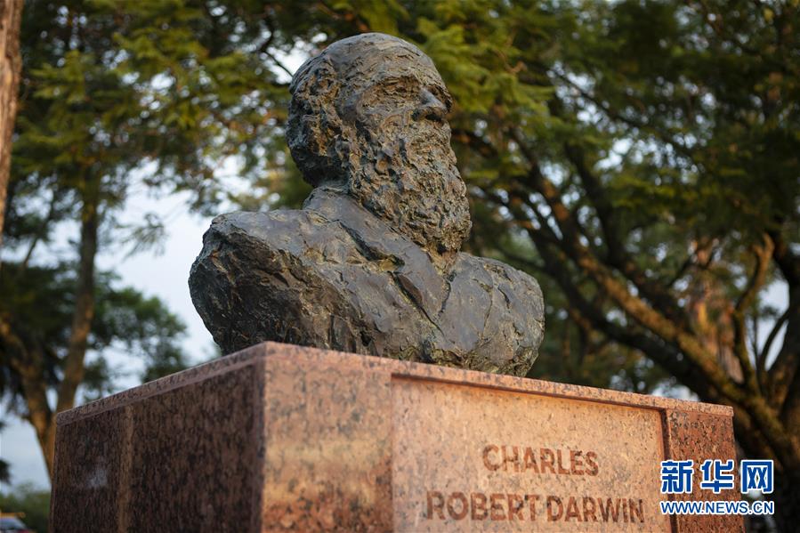 (國際·圖文互動(dòng))(1)通訊:一位中國雕塑家與拉美的不解情緣