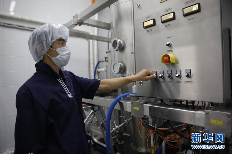 (國際·圖文互動)(6)從“先遣隊”到“正規軍”——哈薩克斯坦駱駝奶粉入華記