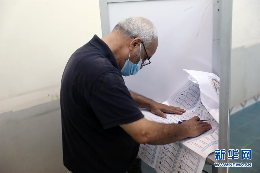 (國(guó)際)(6)埃及舉行議會(huì)上院選舉