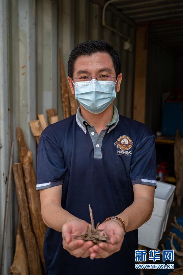 (新華全媒頭條·圖文互動)(10)攜手共“進(jìn)” 開放共贏——寫在第三屆中國國際進(jìn)口博覽會開幕之際