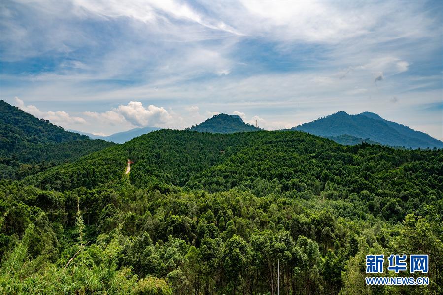 (第三屆進博會·圖文互動)(2)專訪:進博會提供了一個共享中國發展機遇的平臺