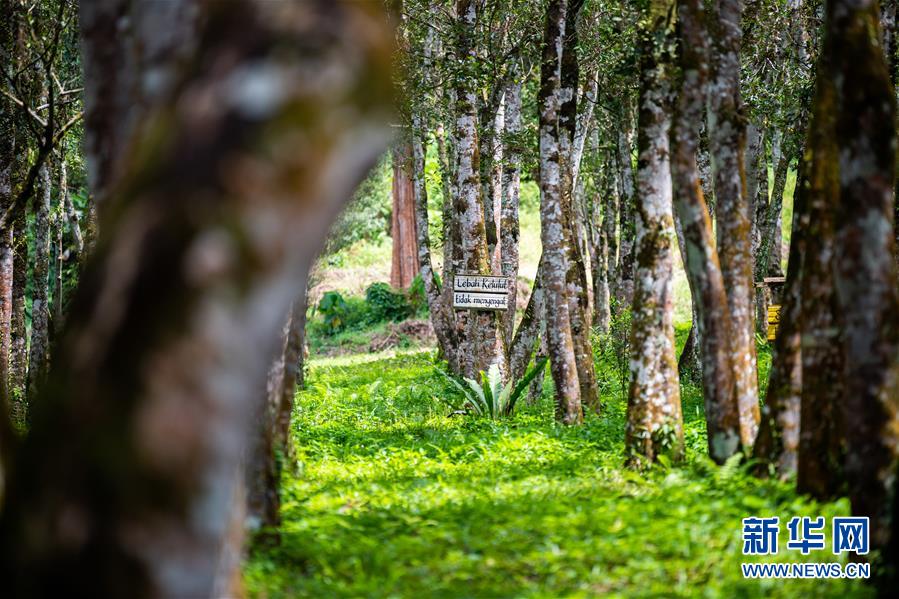(第三屆進博會·圖文互動)(3)專訪:進博會提供了一個共享中國發展機遇的平臺