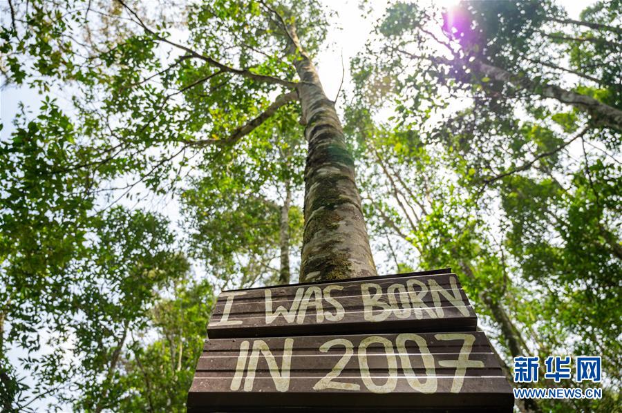 (第三屆進博會·圖文互動)(4)專訪:進博會提供了一個共享中國發展機遇的平臺