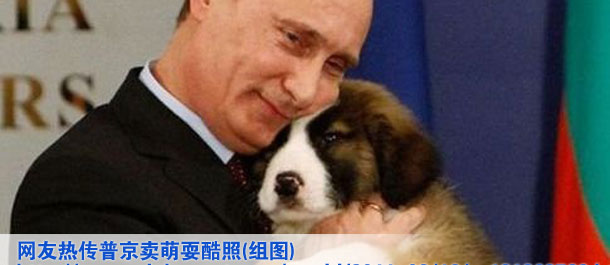 網(wǎng)友熱傳普京賣(mài)萌?？嵴?組圖)