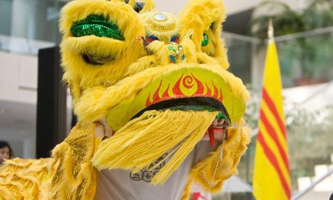 越南華僑華人“舞獅”迎佳節